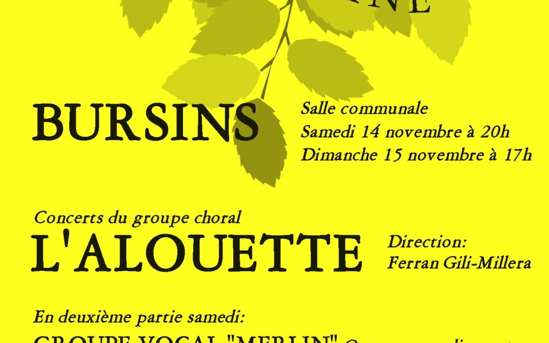 Novembre 2015 : Concerts